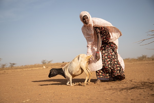 Photo credits must be given to: ©FAO/Michael Tewelde. Editorial use only. Copyright FAO.