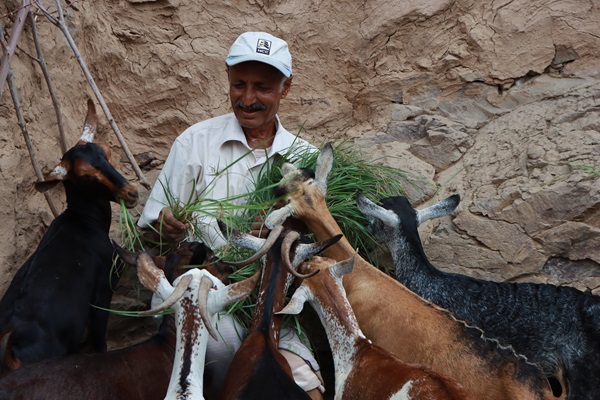 ©FAO/Mahmood Mohammed