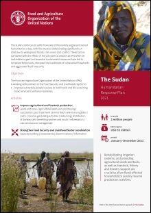1_Appeal 2021_ Sudan_DTP3-1