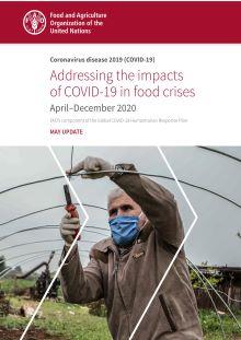 1_COVID-19 Appeal – MAY update 2020-1