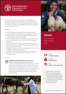 2_Appeal 2021_Yemen_DTP3-1