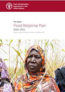 2_Sudan Response Plan -1