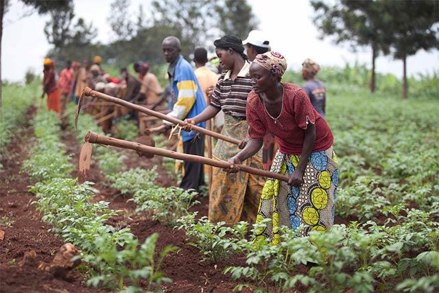 appeals2019-Burundi_Giulio-Napolitano2