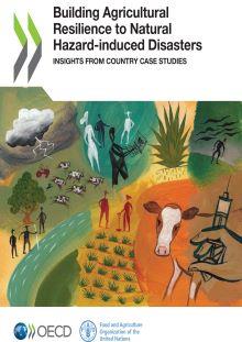 Building agricultural resilience -1