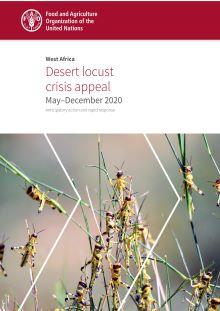 Desert locust West Africa appeal – May 2020-1