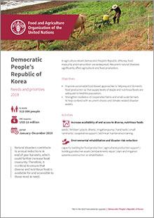 DPRK_appeal_2019-1cover