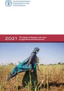 DRR report -1