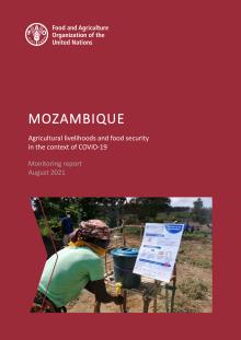 Mozambique Covid-19 report -1