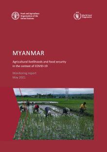 Myanmar covid 19 monitoring report-1