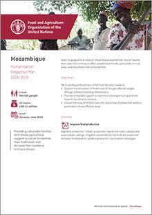 MZQ_CA3197EN-1cover