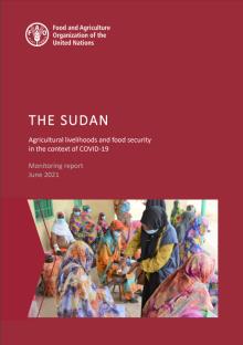 Sudan_covid_monitoring_report