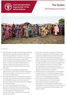 Sudan_Response_Overview-1