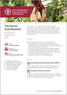 Syria_CA3196EN-1cover