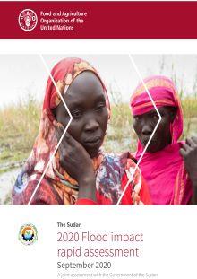 The Sudan Flood Impact Assessment-1