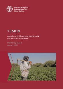 Yemen - Covid-19 report -1