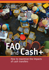 medium_cash_ brief