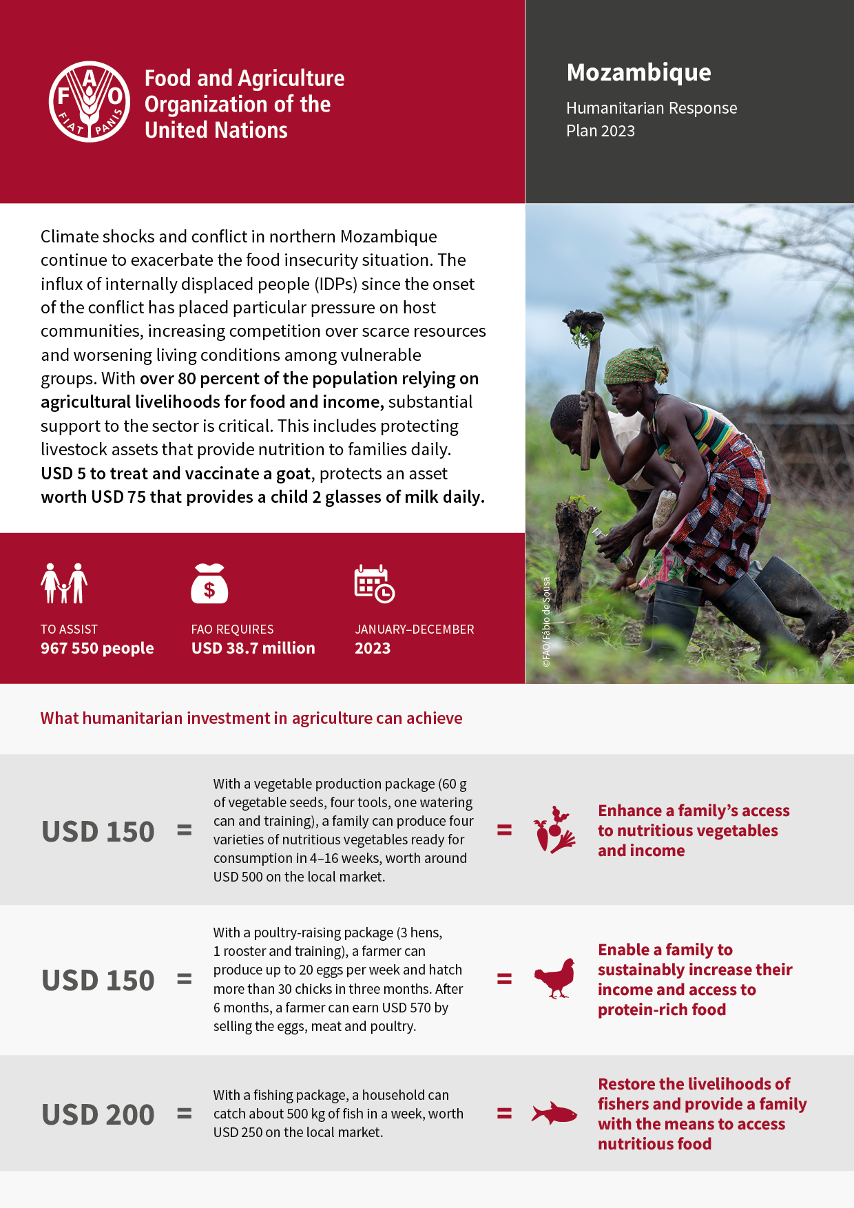 Mozambique Appeal 2023