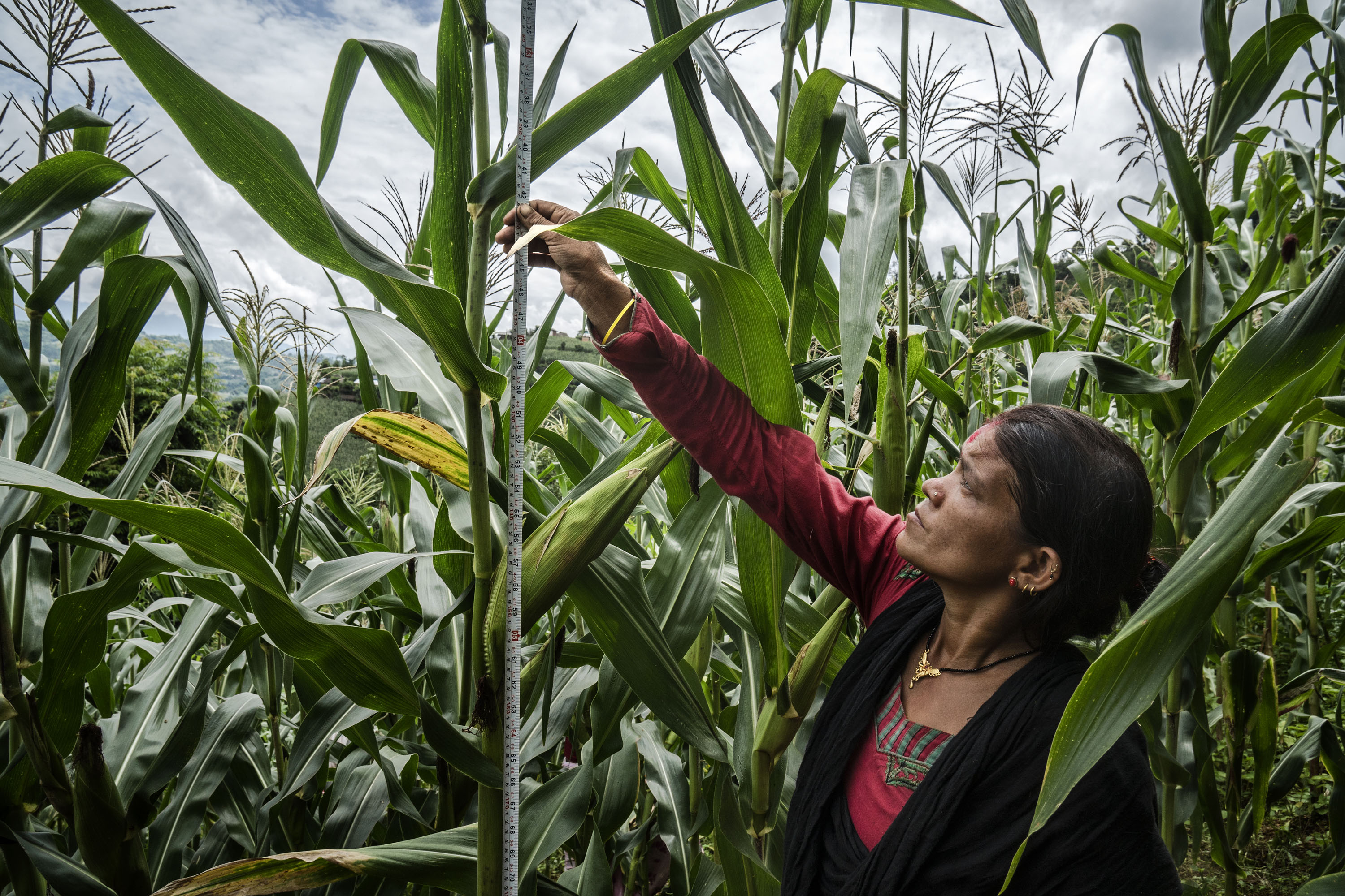 © FAO/Sven Torfinn