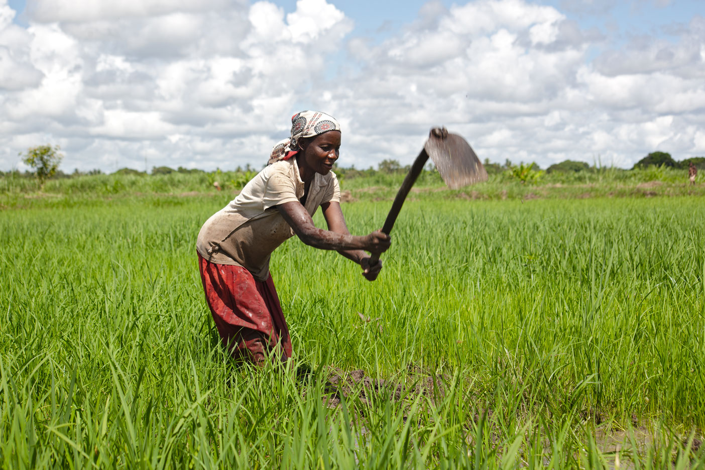 ©FAO/Mozambique