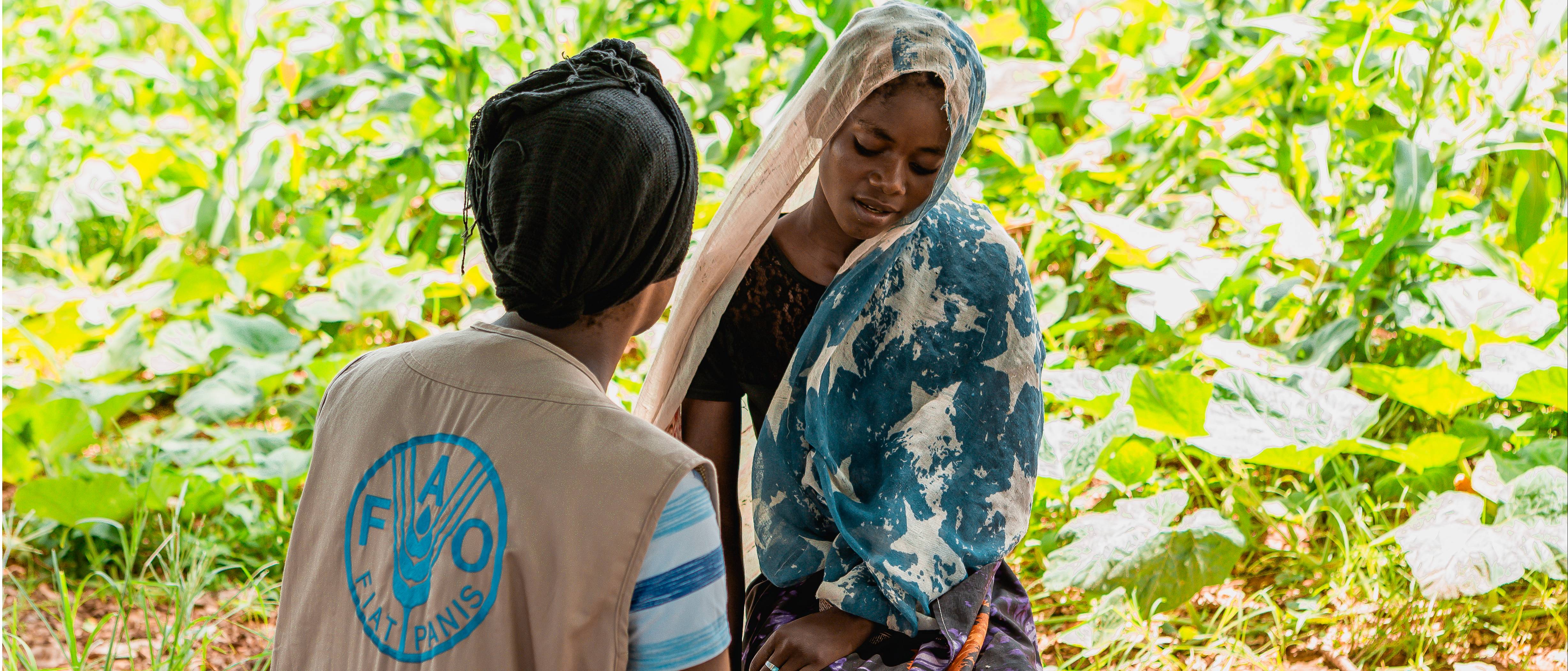 ©FAO/Fabio DeSousa