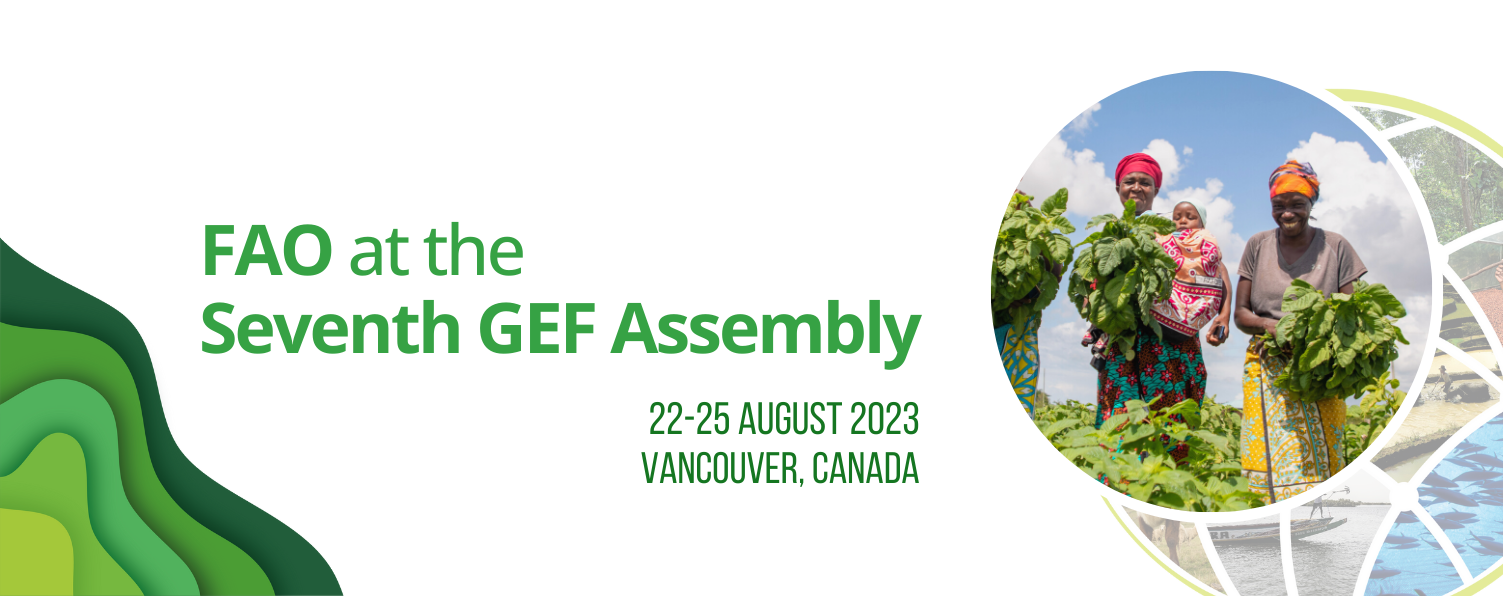 GEF Assembly cover GEF Assembly cover
