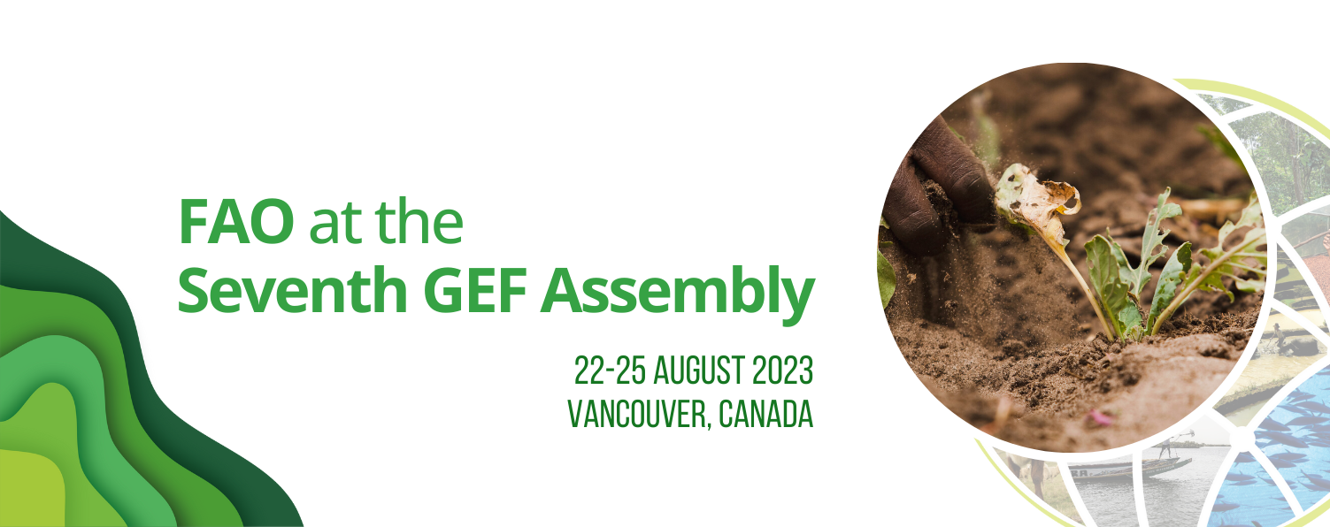 GEF Assembly cover GEF Assembly cover