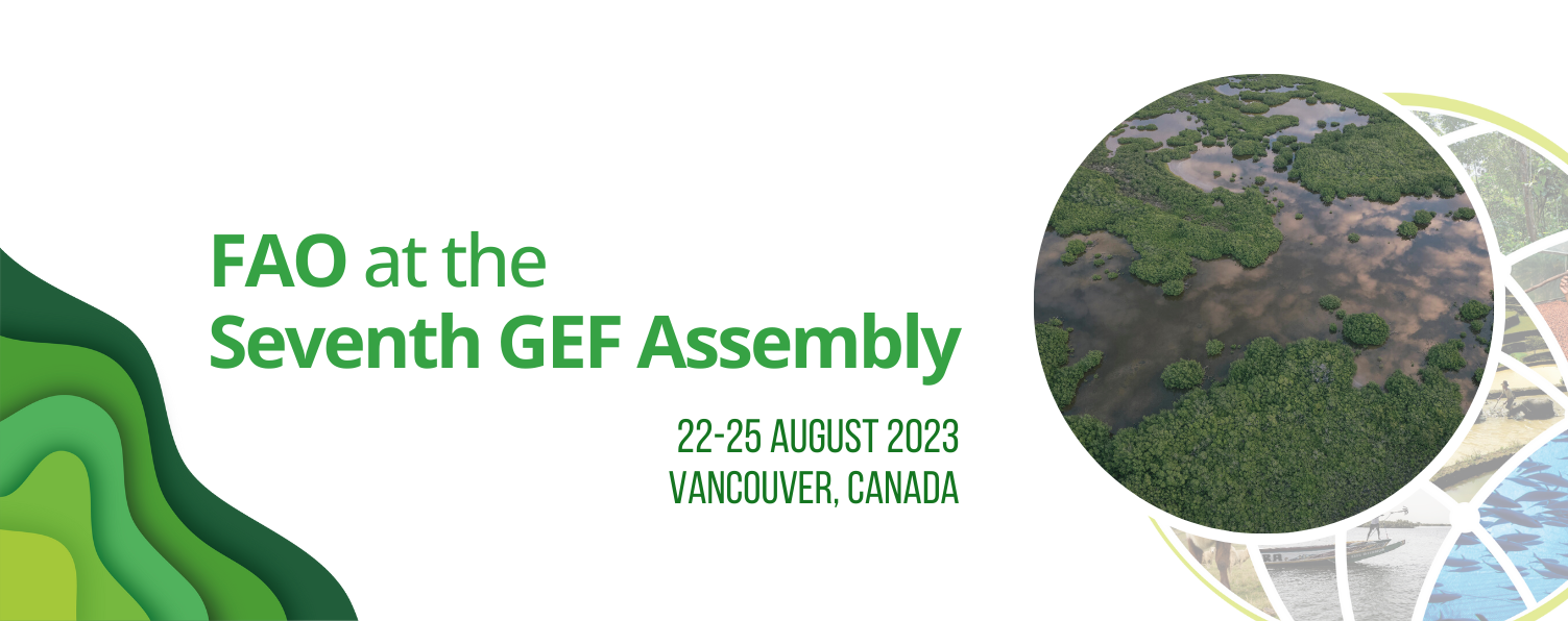 GEF Assembly cover
