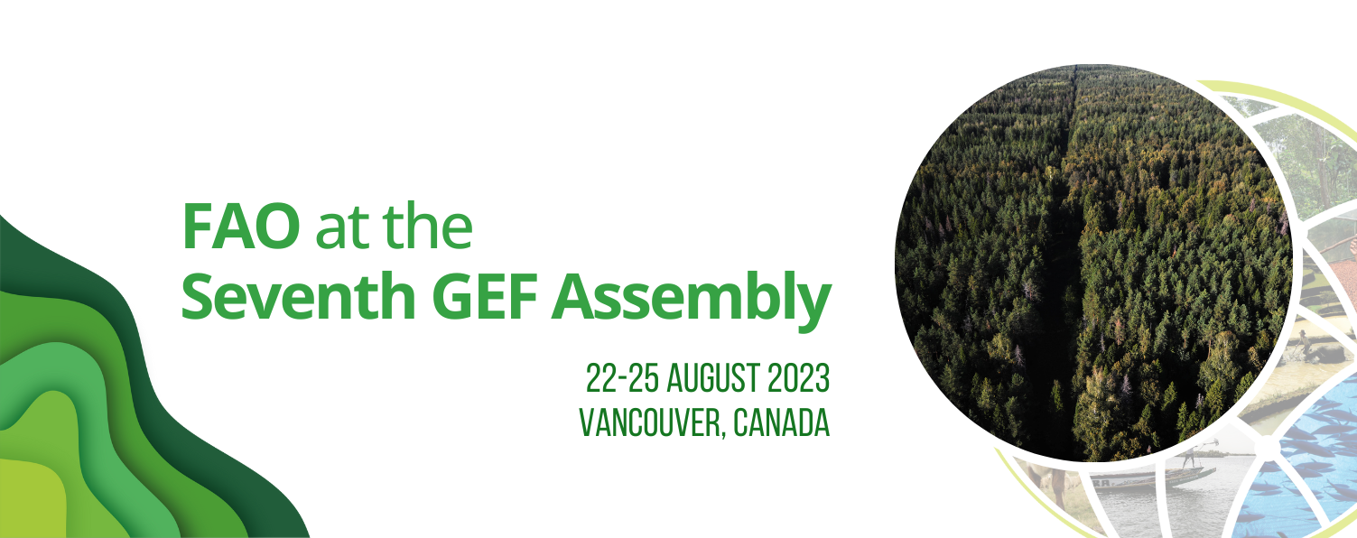 GEF Assembly cover GEF Assembly cover