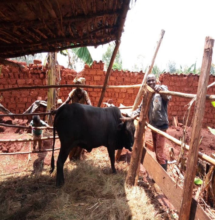 The benefits of Farmer Field Schools grow every year