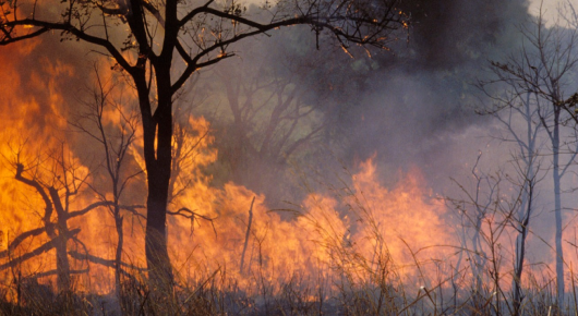 incendio