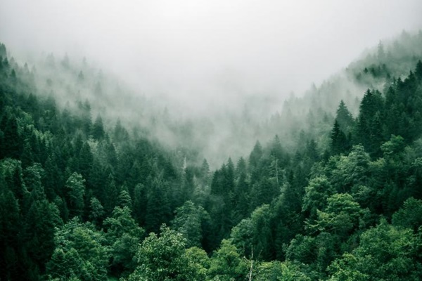 marita-kavelashvili-ugnrxk1129g-unsplash