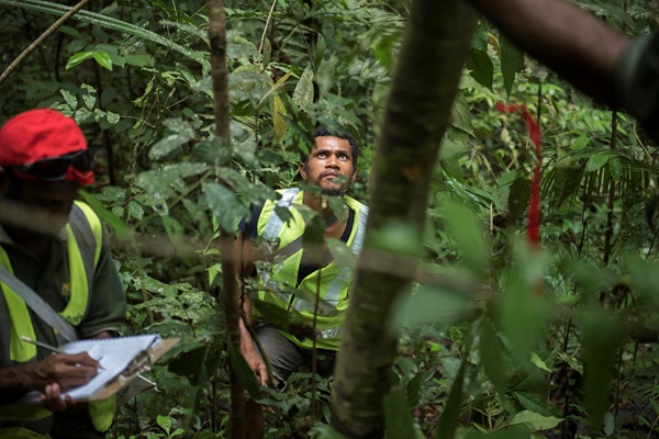 nfi's-botany-team-take-measurements-of-various-species-of-trees-near-kupiano-papua-new-guinea