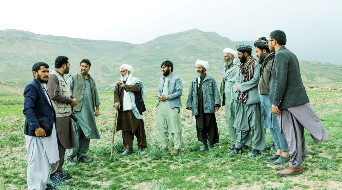 Reforestation Afghanistan