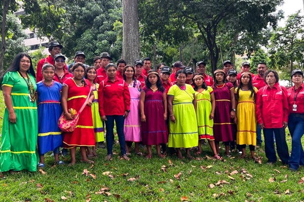 Tukupu-small