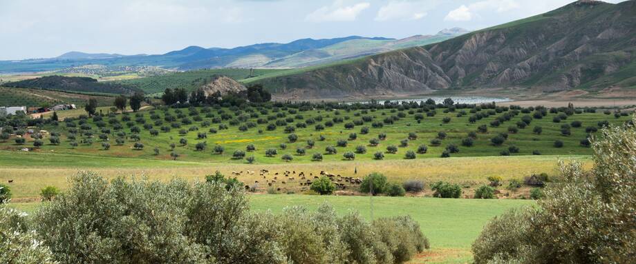 Decision support for mainstreaming and scaling up of sustainable land management in fourteen countries (DS-SLM)