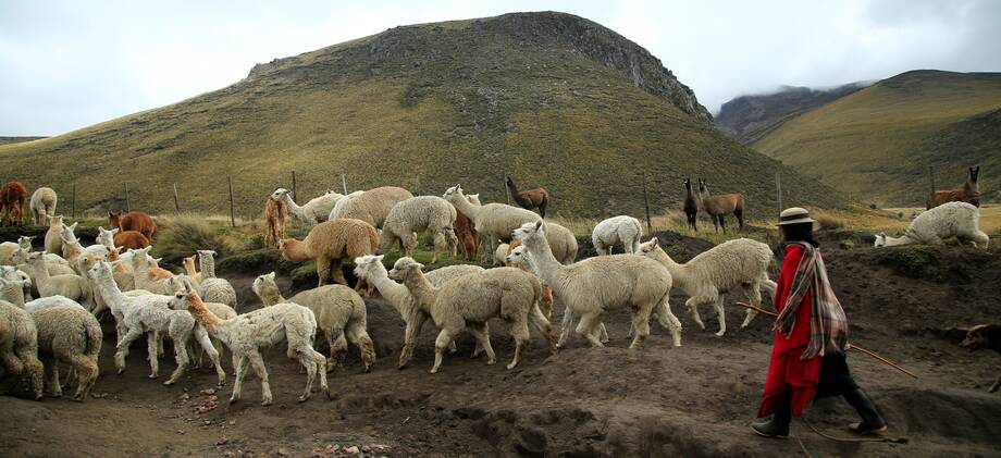 Sustainable management of natural resources in Ecuador