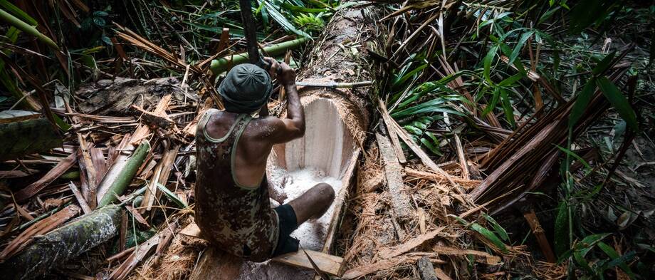 Advancing tenure security for forest landscape-dependent communities in Indonesia, Peru, and Uganda (GCS-Tenure)