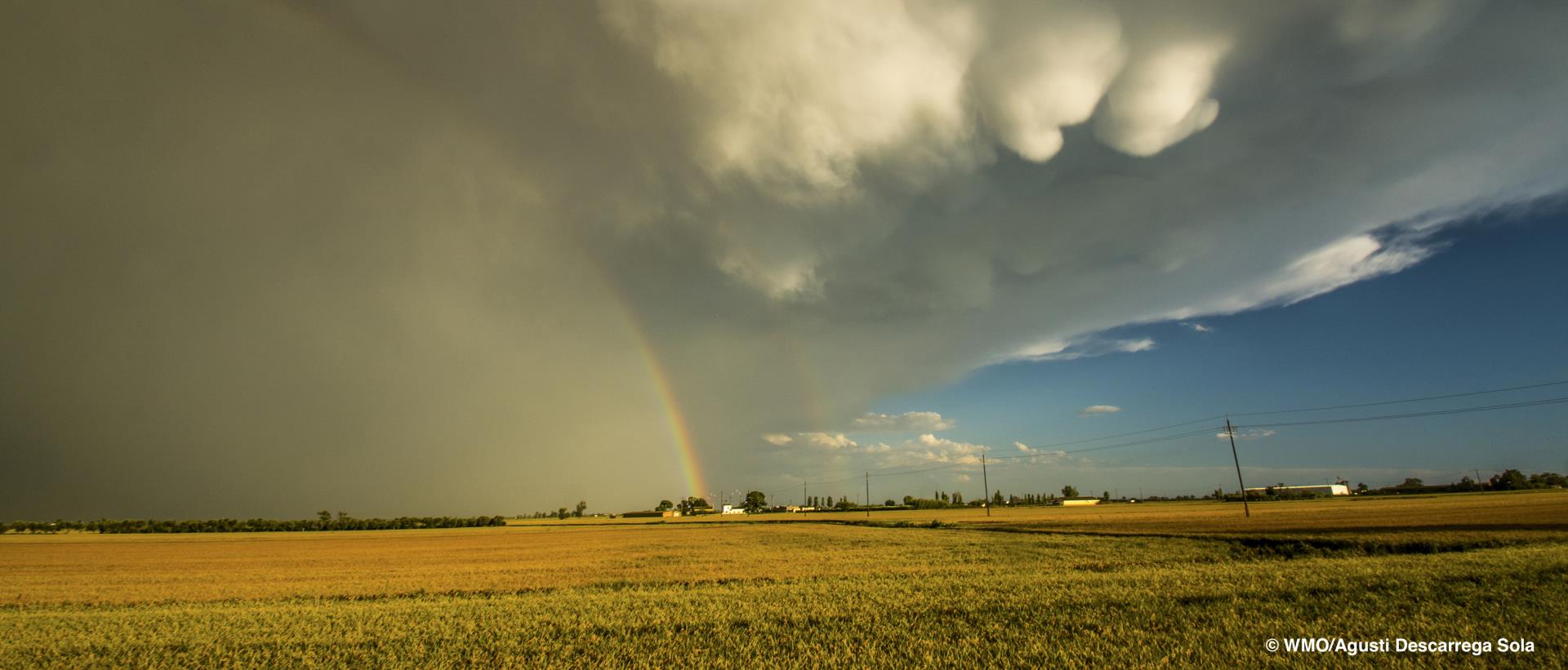 FAO mainstreams climate risk assessments in its GEF project design for post-COVID-19 recovery