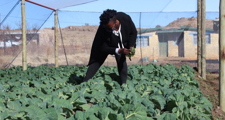 From surviving to thriving in a climate changing world