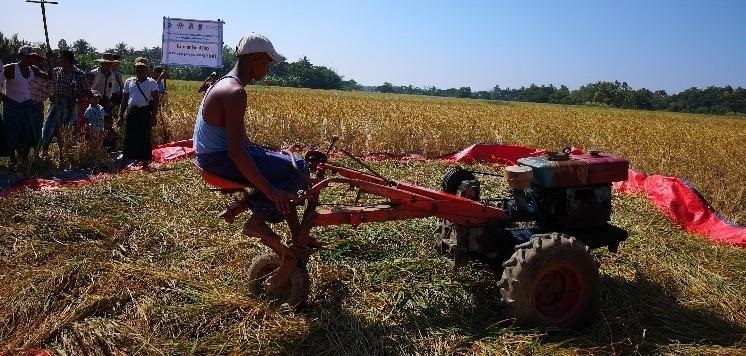 1_Threshing of Paddy from Demo Plot