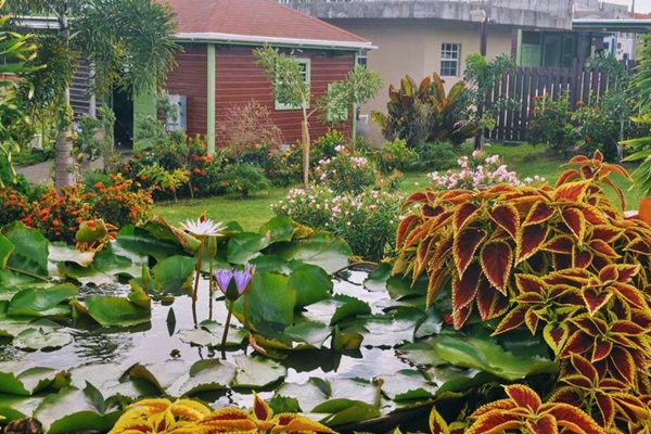 antigua_barbuda_hydroponics