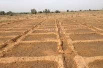 benin_medium_IMG_1402