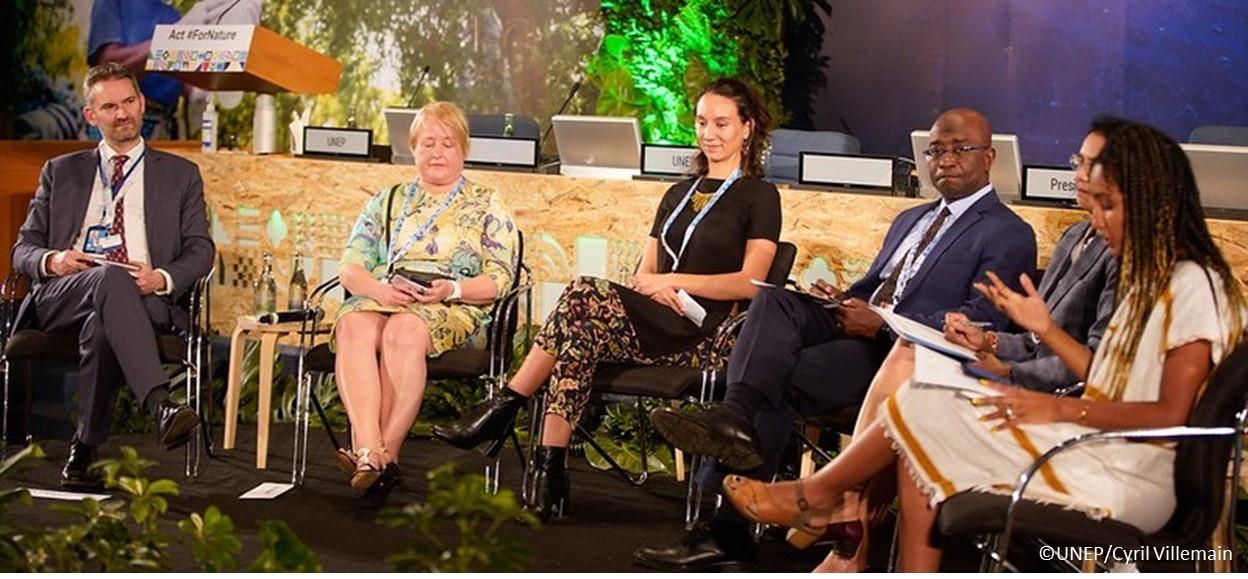 FAO and UNEP call for World Restoration Flagships at UNEA-5