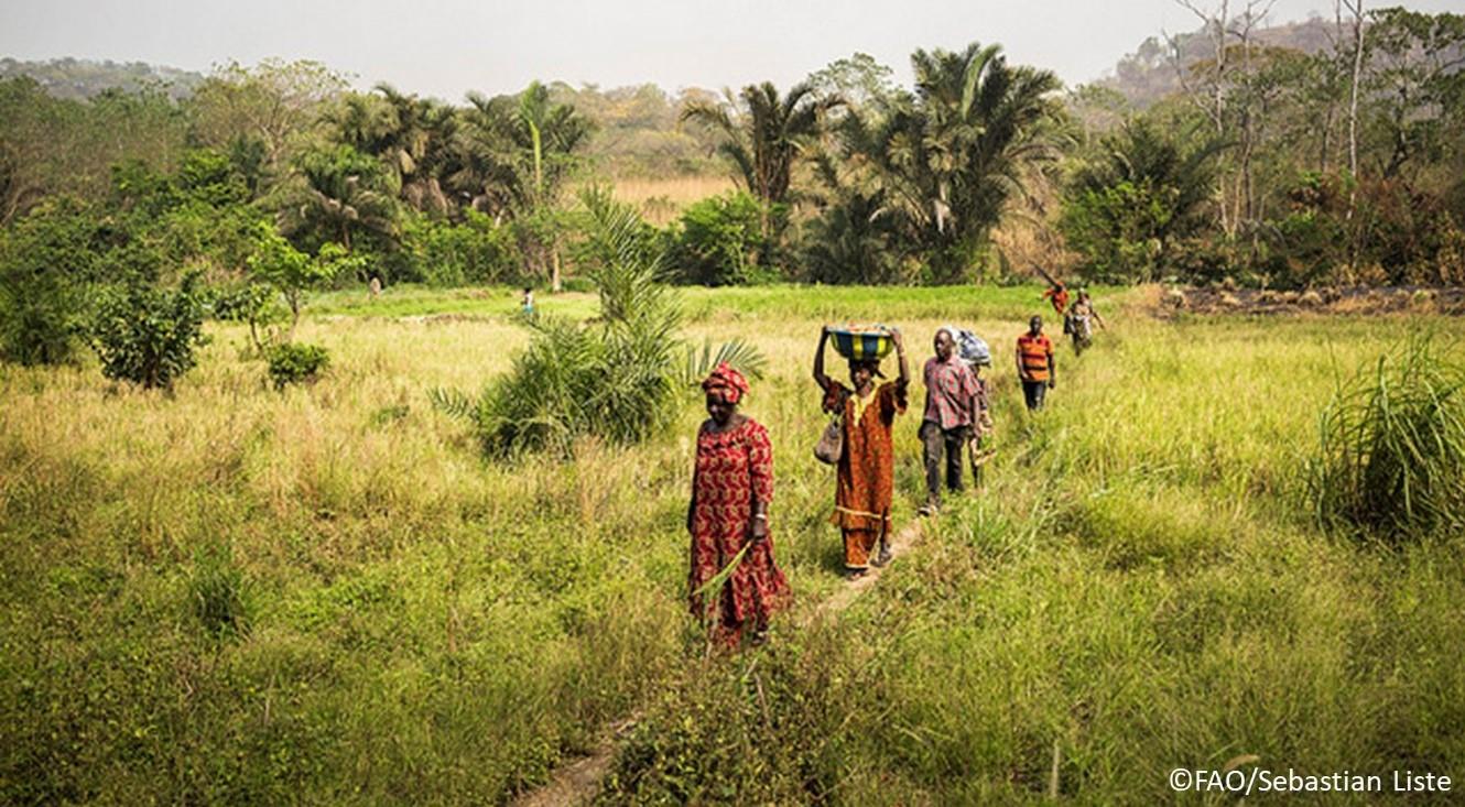 The 57th GEF Council and the 27th LDCF Council approve a total of USD 75 million to support FAO-led projects