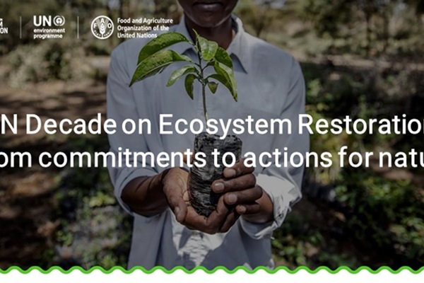 Ecosystem Restoration - UNEA 5