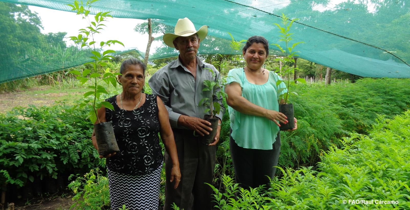 How to combine productivity and sustainability to protect the environment?