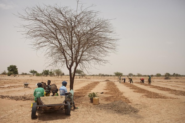 final_PR_image_burkina