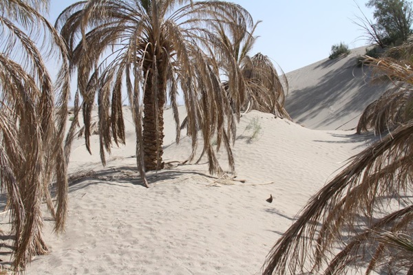 iran_dunes