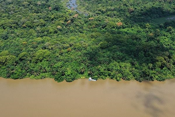 MangroveBanner
