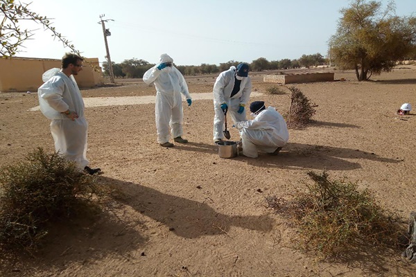 Photo Pesticides1